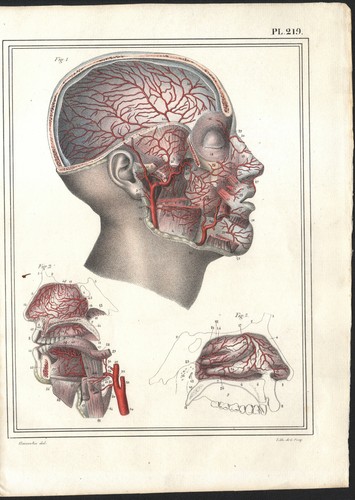 1825 lithographie aquarellée - 1825,