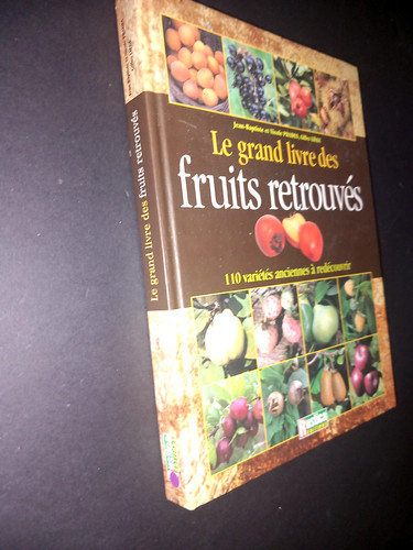 Grand livre des fruits - grand,