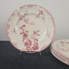 Assiettes Plates Service