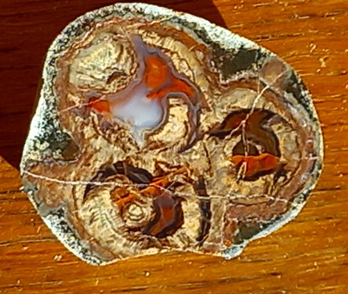 Demi lithophyse polie - , cm