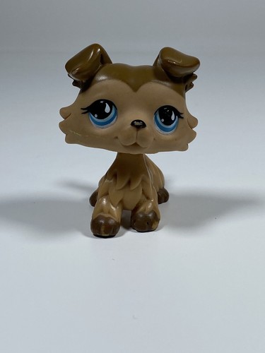 Petshop chien colley n - colley,