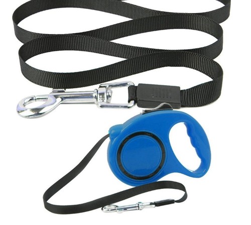 Laisse pour chien - pour,