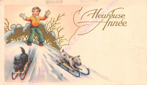 Mignonette carte ancienne - mignonette,