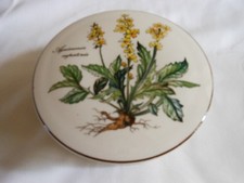 Boite ronde en vitro