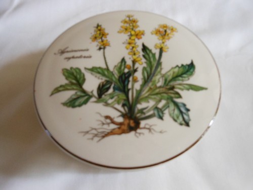 Boite ronde vitro - ronde, en