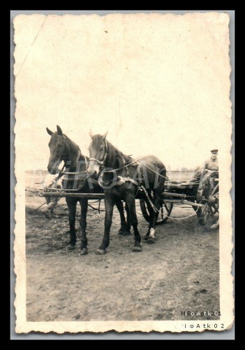 Photo ww2 r 230 - photo,, ww2,