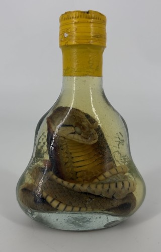 Alcool serpent snake - serpent,