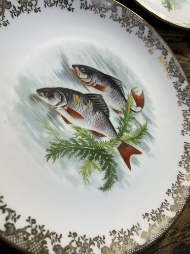 Assiettes plates en - assiettes,
