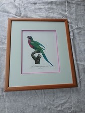 eau forte aquarellée main "la