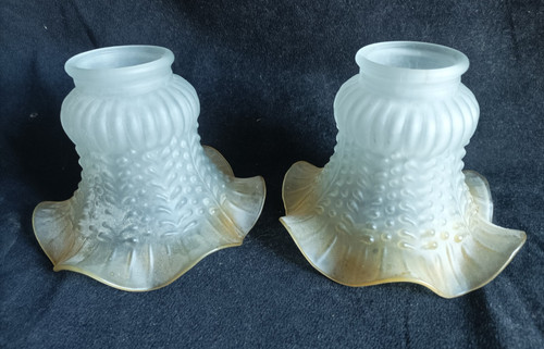 Paire tulipes en - *,