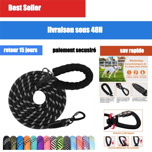 Longe dressage chien m - de, 3