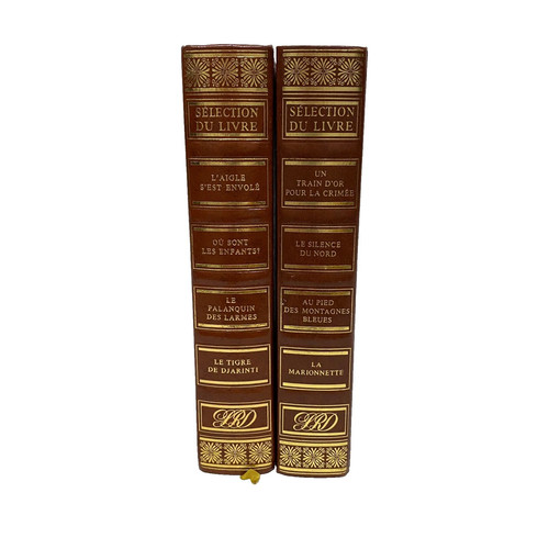 Lot livres sélection du - livres,