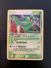 Pokemon Card: Jungko 10/106 Reverse Ex French Emerald