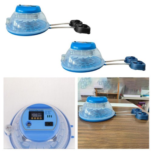 Incubateur œufs pour - incubateur, d'œufs