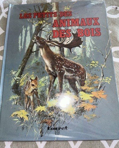 Ancien album livre - album,