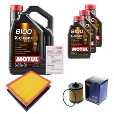 SCT Inspection Set 8L MOTUL