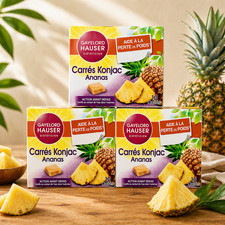 CARRÉS KONJAC ANANAS LOT 3