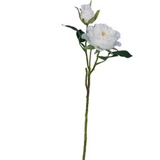 4er-Set Blanc Gartenrosen 58 CM – Réaliste Plantes Artificielles, Décoratif