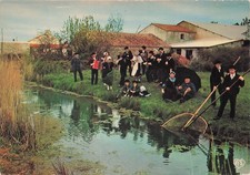 85 DINNER WOODS GROUP LE BOUQUET D AJONCS