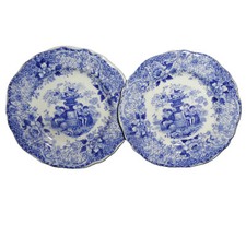 2x Staffordshire Child Blue Toy Dinner Plates LEARNING LESSONS Ridgway 1835