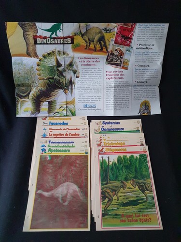 Lot fiches dinosaures - lot, 60