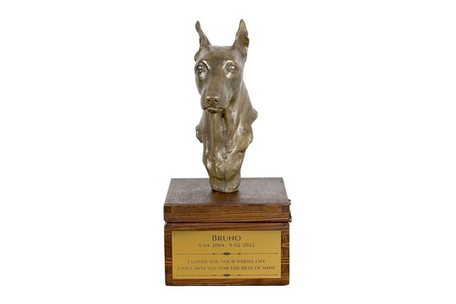 Pinscher nain urne sur - , la