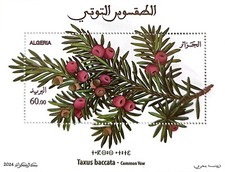 Stamp Algeria 2024 Taxus baccata MNH