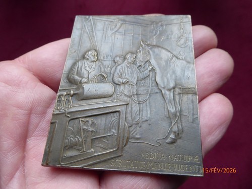 Médaille plaque paul - médaille,