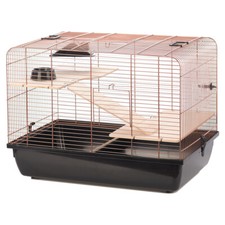 Duvo+ Cage À Rongeurs Copper Rex Noir/Cuivre, 58x38x43 Cm, 2 Étages, Accessoires