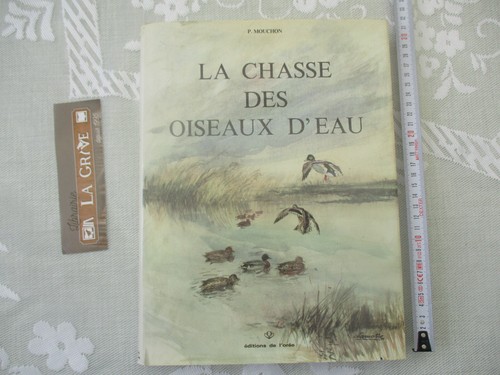 Mouchon chasse des oiseaux - mouchon, "la