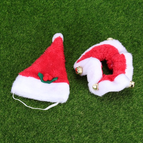 Deguisement chat noel - deguisement,