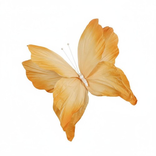 Papillon décoratif décor - papillon, 3d