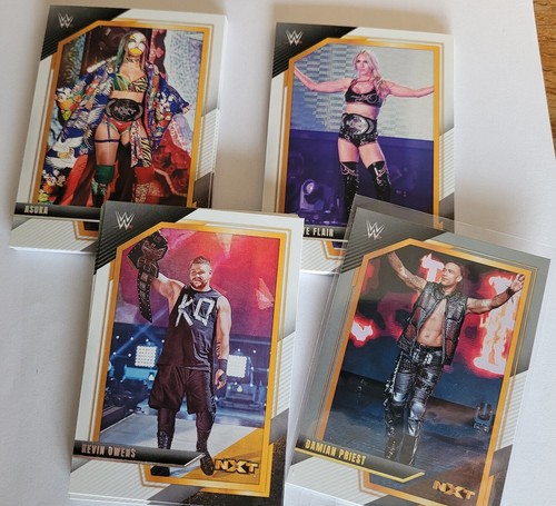 2022 panini wwe nxt - 2022,