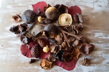Vintage Antique Autumn Mushroom Leaves Vegetable Decor Lot Various