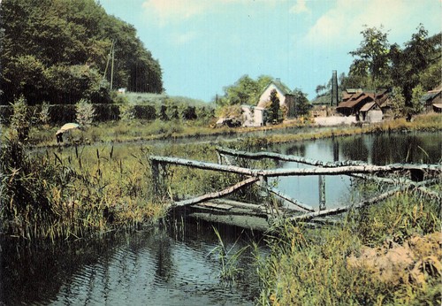 Cousolre etang bois - 59, des