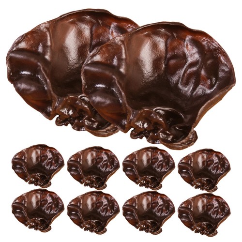 Pcs faux légume fruit - , 10