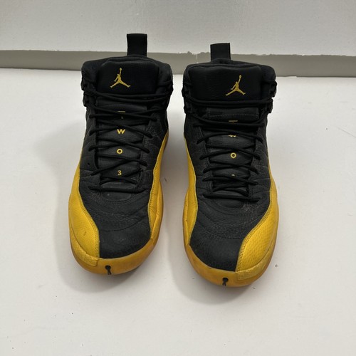 Nike men air jordan - 12,