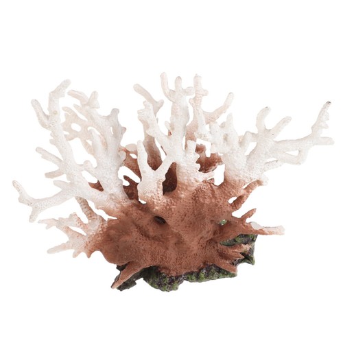 Accessoires pour aquarium - accessoires,