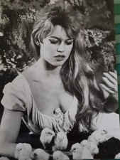 Sublime et rare photographie vintage Brigitte Bardot