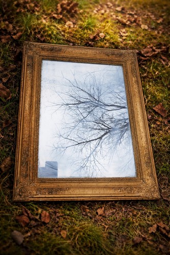 Miroir napoléon iii bois - en,