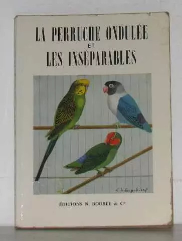 Perruche ondulée les - perruche, et