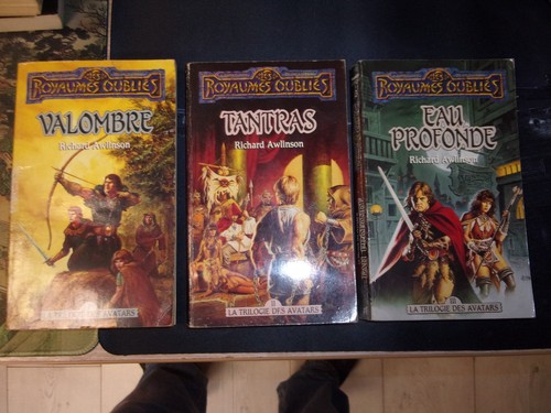 Lot livres poche les - de,