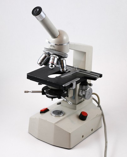 Microscope karl kaps asslar - asslar, /