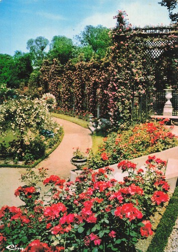 Hay les roses - l, la