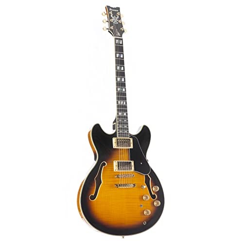 Ibanez john scofield signature - ibanez/john,