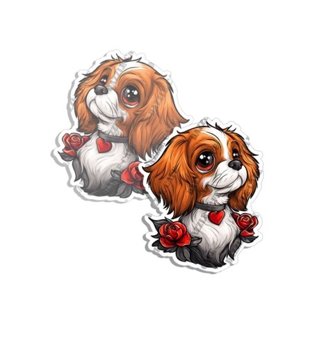 Cavalier king charles spaniel - cavalier,
