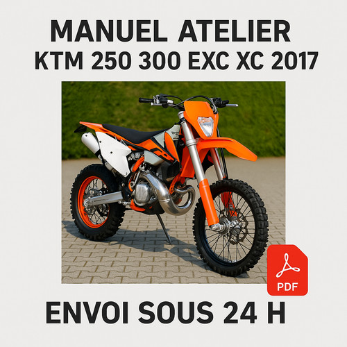 Manuel atelier ktm - manuel, 250