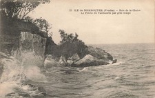 85 L ILE DE NOIRMOUTIER BOIS DE LA CHAISE