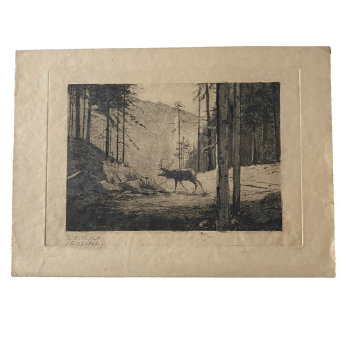 Ancienne gravure eugène - ancienne, de