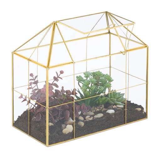 Terrarium ecosysteme - terrarium,